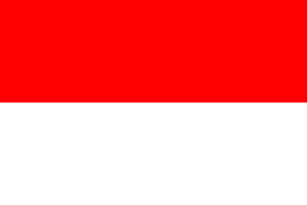 TLD Logo